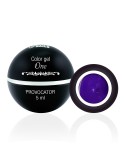 Color Gel One - Provocator 5ML