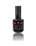 Cat Eye Gel Brush No2 15ML