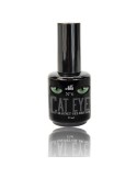 Cat Eye Gel Brush No6 15ML